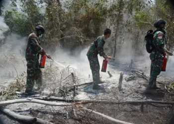 TNI Kerahkan Tim Alfa Gabungan Tiga Matra untuk Atasi Kebakaran Taman Nasional Way Kambas