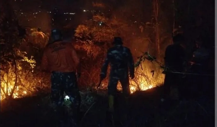 TNI AD Sigap Padamkan Kebakaran Hutan di Sejumlah Wilayah Indonesia