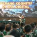 TNI AD Bekali 228 Perwira Pengetahuan Siber dan Informasi Hadapi Perang Modern
