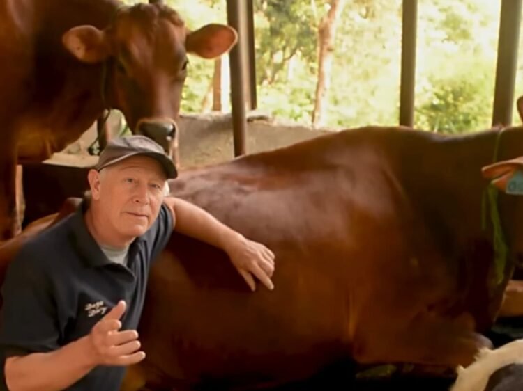 Dago Dairy Resmi Tutup, Ini Cerita di Baliknya
