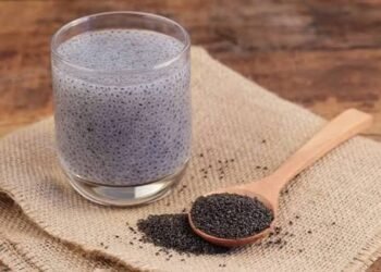 Kecil Tapi Kaya Akan Manfaat! Ini Fakta Menarik Seputar Biji Chia untuk Kesehatan